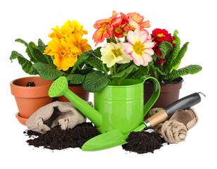 
Aku ingin kamu membuat Tabel, dengan format 6 kol...
Aku ingin kamu membuat Tabel, dengan format 6 kol...
100%
10
C14

Spring gardening composition with yellow rubber boots and flowers isolated on wh