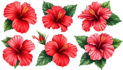 Digital art featuring six vibrant red hibiscus flowers with lush green leaves on black background