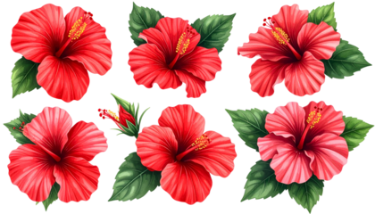 Digital art featuring six vibrant red hibiscus flowers with lush green leaves on black background