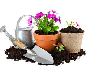 
Aku ingin kamu membuat Tabel, dengan format 6 kol...
Aku ingin kamu membuat Tabel, dengan format 6 kol...
100%
10
C14

Spring gardening composition with yellow rubber boots and flowers isolated on wh