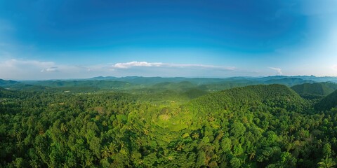 Panoramic drone shot of dense forest canopy in Sungai Lembing, Pahang, Malaysia, highlighting seasonal change
