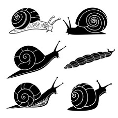 Collection of snail illustrations ©  MST RABEYA  BEGUM
