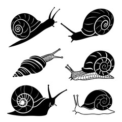 Collection of snail silhouettes ©  MST RABEYA  BEGUM