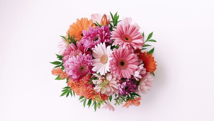 Flowers blooming in spring set against a white backdrop, seasonal change