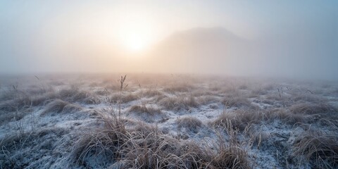 Snow-covered meadow with dry grass and distant mountain in early morning fog, highlighting seasonal transition