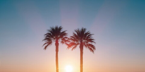 Tall palm trees silhouetted at dusk in a tropical setting, suitable for nature-themed backdrops