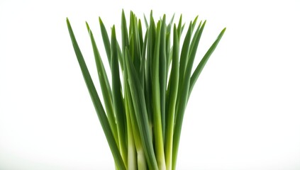 Fresh green onions on a surface, emphasizing their role in seasonal cooking during spring