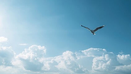 Seagull gliding above the horizon, highlighting avian movement in natural environments, World Bird Day