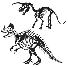Dinosaur skeletons ©  MST RABEYA  BEGUM