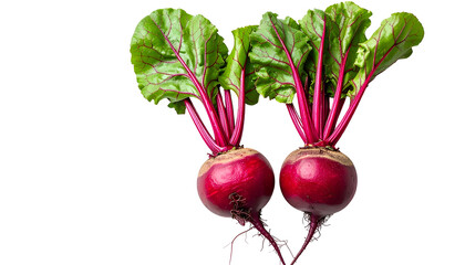 Two raw, vibrant red beetroots with green and pink leaves against a black background