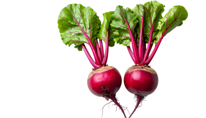Two raw, vibrant red beetroots with green and pink leaves against a black background