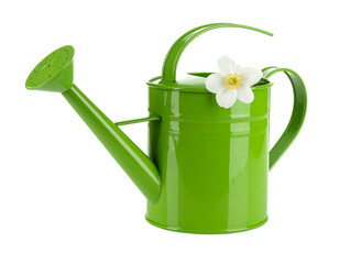 Green watering can with white flower decoration isolated on white
