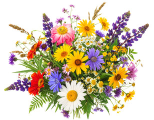 Vibrant spring wildflower bouquet with colorful blossoms isolated on white