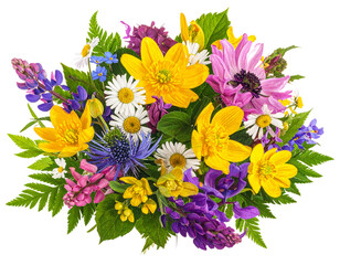 Colorful wildflower bunch with daisies and lavender isolated on white