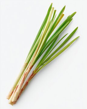 Fresh lemongrass stalks on a clean white background