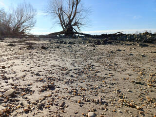 Sandy riverbank shells winter light