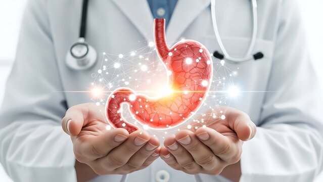 Doctor holding a glowing 3D model of a human stomach with a network overlay - Powered by Adobe