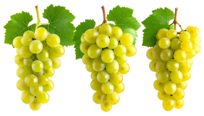 Three vibrant bunches of green grapes with leaves, against a stark black background