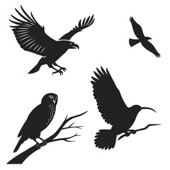 Silhouettes of birds