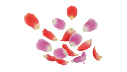Scattered flower petals in shades of red and pink against a white background
