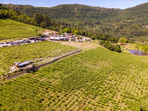 Foto a&eacute;rea da vin&iacute;cula Jolimont em Gramado.