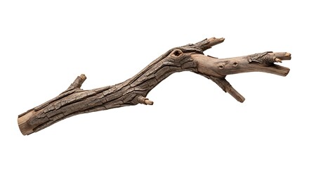 Natural Wooden Branch Isolated on White Background.
