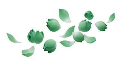 Serene lotus flowers and leaves floating gently on the surface of a peaceful pond