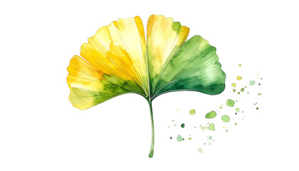 Watercolor of a ginkgo biloba leaf, golden and green, with a scattering of spots