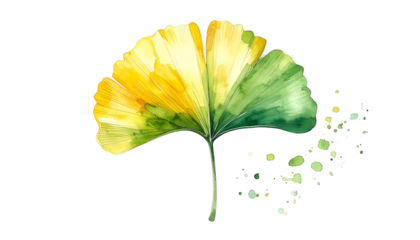 Watercolor of a ginkgo biloba leaf, golden and green, with a scattering of spots