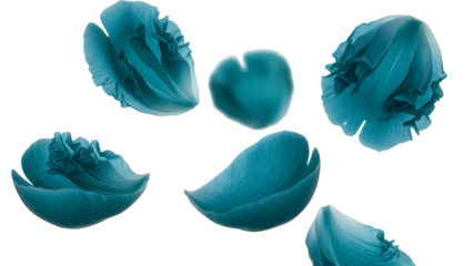 A collection of blue flower petals floating in mid-air against a white background