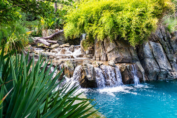 Water stream in tropical jungle