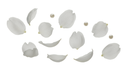 A serene arrangement of white jasmine flower petals and stamens on a clean white background from a direct overhead viewpoint