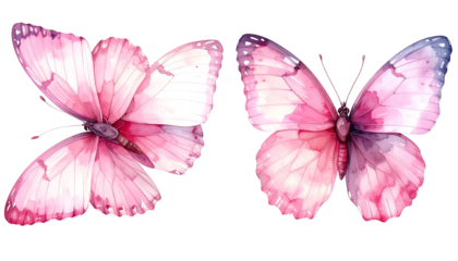 Watercolor image of two butterflies, pink and purple hues, isolated on a black background
