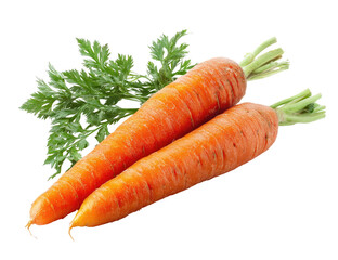 Two fresh, vibrant orange carrots, lying side-by-side, topped with fresh green leaves