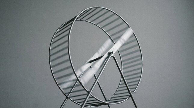 antecedence. Hamster wheel in endless rotation on a plain grey background. wildlife magazines, conservation campaigns, designed for nature documentaries and education, used by health educators.