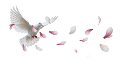 A white dove in flight surrounded by falling magnolia petals in a serene atmosphere from a frontal viewpoint