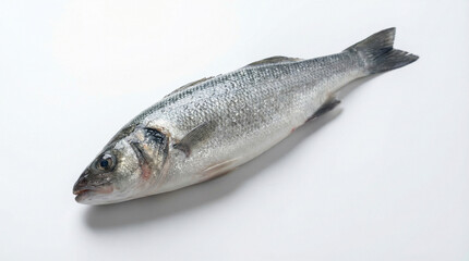 Fototapeta premium seabass. Fresh sea bass with glistening scales, captured in hyper-realistic detail on a white surface. menu design, packaging mockups, designed for food delivery and cloud-kitchen brand materials.