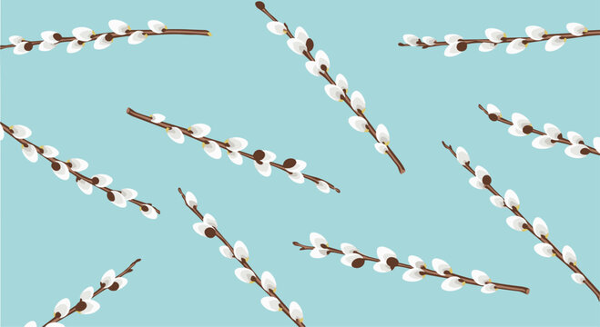 A lovely seamless spring pattern of pussy willow branches on a solid light blue background for Easter or seasonal decor.