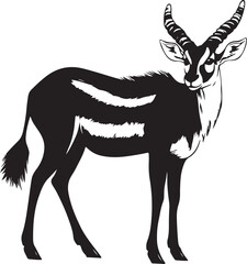 Bongo Antelope Silhouette on Transparent Background