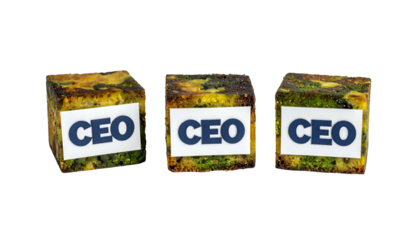 Three textured cubes with "CEO" labels isolated on a black background, suggesting multiple leaders