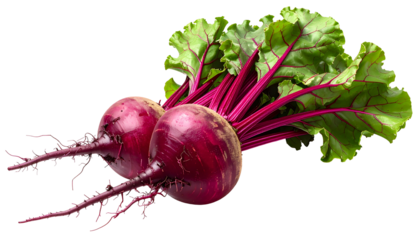 Two ruby red beets with attached vibrant green and crimson leafy tops against black