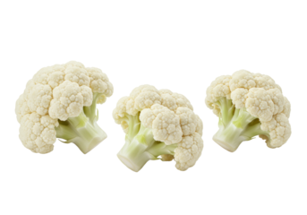 Three vibrant white cauliflower florets with green stems, showcasing bumpy texture on a transparent studio background with soft shadow and copy space, concept of healthy produce