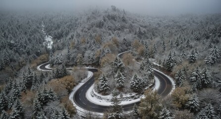 winding mountain road covered in snow with evergreen and deciduous trees in winter landscape