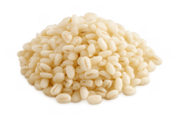 Heap of cooked pearl barley grain on transparent background
