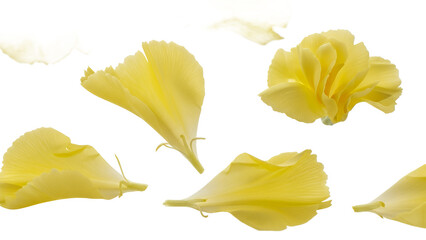 Naklejka premium Yellow flower petals floating in mid-air against a white background