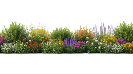 Vibrant and diverse flower bed with various blooming plants and lush green foliage.