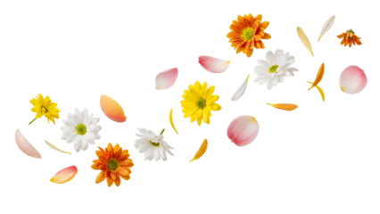 A collection of colorful flowers and petals floating gently in the air against a white background