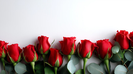 Vibrant red roses filling bottom border edge minimalist greeting design clean simple composition modern aesthetic styling elegant bold floral accent dramatic color statement