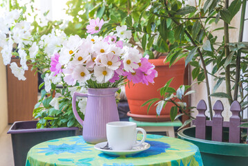 White cup of coffee or tea, bouquet of white and pink cosmos flowers on a table in a patio