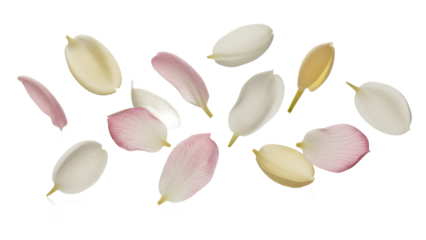 Delicate flower petals scattered in the air, showcasing nature's beauty from a close-up viewpoint